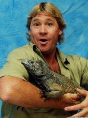 steveirwin_gilbo_529323_max.jpg