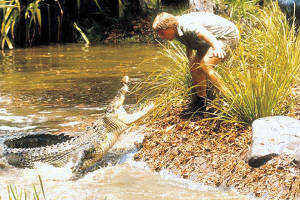 thecrocodilehunter2.jpg