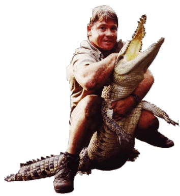 steve20irwin202.jpg